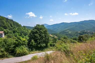 Bulgaristan 'ın Pernik Bölgesi, Kamenititsa zirvesi yakınlarındaki Erul dağının yaz manzarası