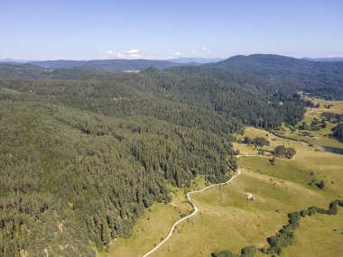 Aerial Summer view of Dospat Reservoir, Smolyan Region, Bulgaria