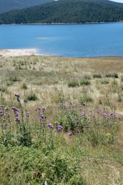 Belmeken Barajı 'nın İnanılmaz Yaz manzarası, Rila Dağı, Bulgaristan