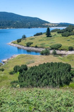 Belmeken Barajı 'nın İnanılmaz Yaz manzarası, Rila Dağı, Bulgaristan