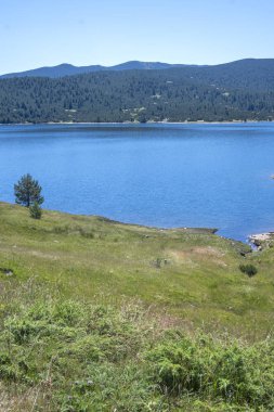 Belmeken Barajı 'nın İnanılmaz Yaz manzarası, Rila Dağı, Bulgaristan