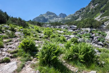 Amazing Summer landscape of Rila Mountain near Malyovitsa hut, Bulgaria