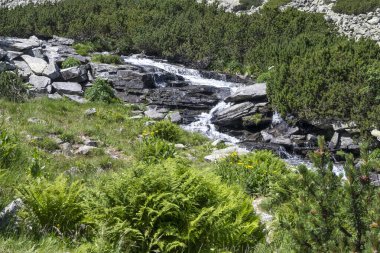 Amazing Summer landscape of Rila Mountain near Malyovitsa hut, Bulgaria