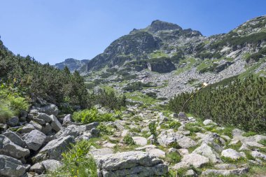 Amazing Summer landscape of Rila Mountain near Malyovitsa hut, Bulgaria