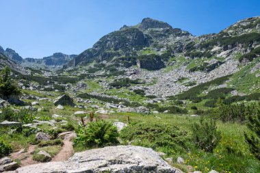 Amazing Summer landscape of Rila Mountain near Malyovitsa hut, Bulgaria
