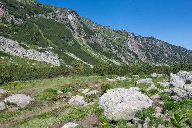 Amazing Summer landscape of Rila Mountain near Malyovitsa hut, Bulgaria