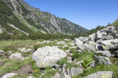 Amazing Summer landscape of Rila Mountain near Malyovitsa hut, Bulgaria