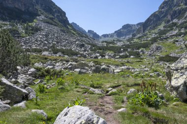 Amazing Summer landscape of Rila Mountain near Malyovitsa hut, Bulgaria