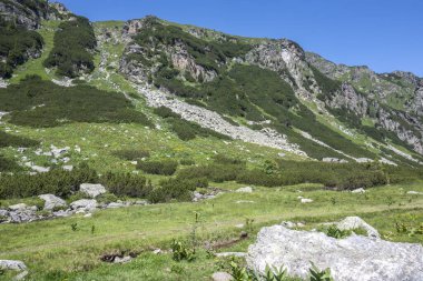 Amazing Summer landscape of Rila Mountain near Malyovitsa hut, Bulgaria