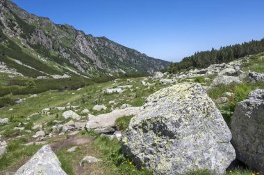 Amazing Summer landscape of Rila Mountain near Malyovitsa hut, Bulgaria