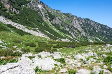 Amazing Summer landscape of Rila Mountain near Malyovitsa hut, Bulgaria