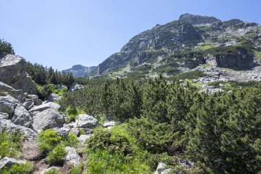 Amazing Summer landscape of Rila Mountain near Malyovitsa hut, Bulgaria