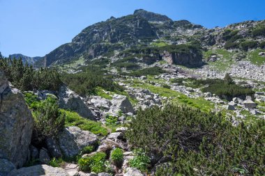 Amazing Summer landscape of Rila Mountain near Malyovitsa hut, Bulgaria