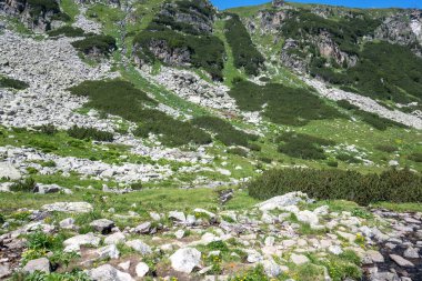 Amazing Summer landscape of Rila Mountain near Malyovitsa hut, Bulgaria