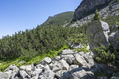 Amazing Summer landscape of Rila Mountain near Malyovitsa hut, Bulgaria