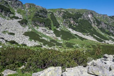 Amazing Summer landscape of Rila Mountain near Malyovitsa hut, Bulgaria