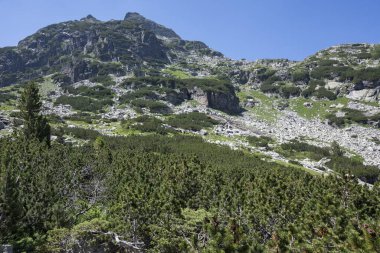 Amazing Summer landscape of Rila Mountain near Malyovitsa hut, Bulgaria
