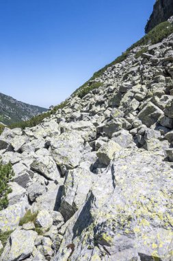 Amazing Summer landscape of Rila Mountain near Malyovitsa hut, Bulgaria