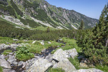 Amazing Summer landscape of Rila Mountain near Malyovitsa hut, Bulgaria