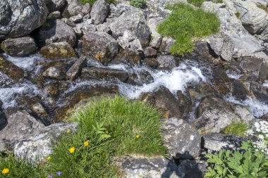 Amazing Summer landscape of Rila Mountain near Malyovitsa hut, Bulgaria