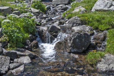 Amazing Summer landscape of Rila Mountain near Malyovitsa hut, Bulgaria