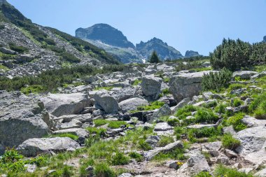 Amazing Summer landscape of Rila Mountain near Malyovitsa hut, Bulgaria
