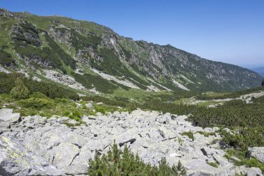 Amazing Summer landscape of Rila Mountain near Malyovitsa hut, Bulgaria