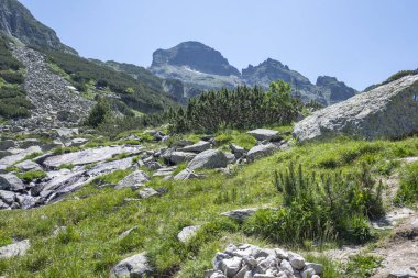 Amazing Summer landscape of Rila Mountain near Malyovitsa hut, Bulgaria