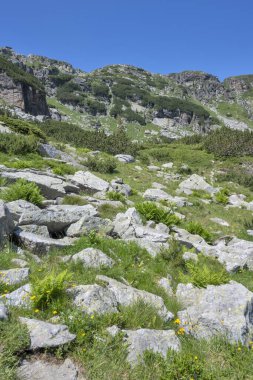 Amazing Summer landscape of Rila Mountain near Malyovitsa hut, Bulgaria