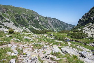 Amazing Summer landscape of Rila Mountain near Malyovitsa hut, Bulgaria