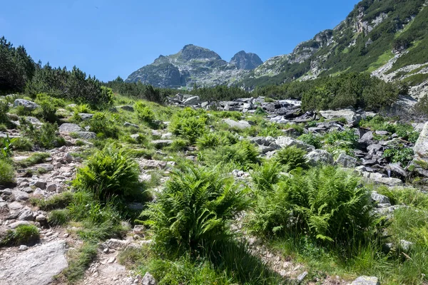 Amazing Summer Landscape Rila Mountain Malyovitsa Hut Bulgaria — Foto Stock