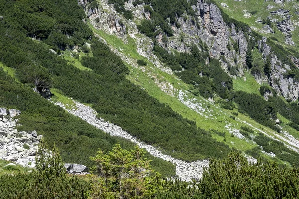 Amazing Summer Landscape Rila Mountain Malyovitsa Hut Bulgaria — Foto de Stock