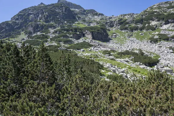 Amazing Summer Landscape Rila Mountain Malyovitsa Hut Bulgaria — Zdjęcie stockowe