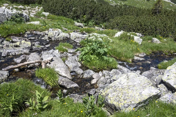 Amazing Summer landscape of Rila Mountain near Malyovitsa hut, Bulgaria