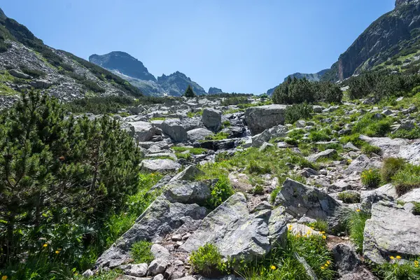 Amazing Summer landscape of Rila Mountain near Malyovitsa hut, Bulgaria