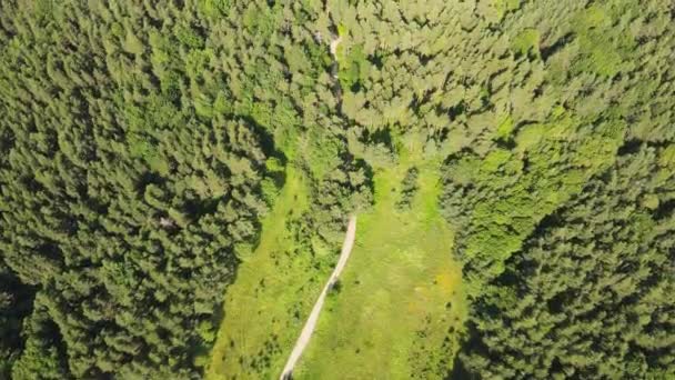 Aerial Summer View Koprivkite Area Rhodopes Mountain Plovdiv Region Bulgaria — Vídeo de stock