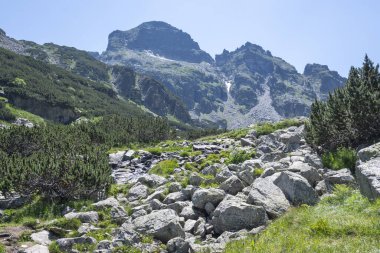 Amazing Summer landscape of Rila Mountain near Malyovitsa peak, Bulgaria