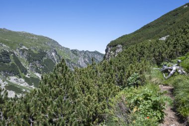 Amazing Summer landscape of Rila Mountain near Malyovitsa peak, Bulgaria