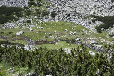 Amazing Summer landscape of Rila Mountain near Malyovitsa peak, Bulgaria