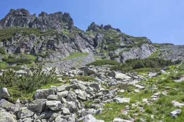 Amazing Summer landscape of Rila Mountain near Malyovitsa peak, Bulgaria