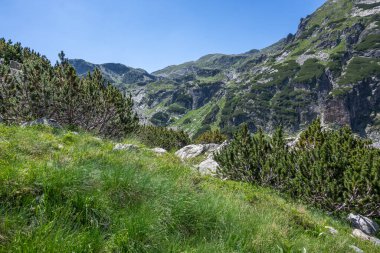 Amazing Summer landscape of Rila Mountain near Malyovitsa peak, Bulgaria