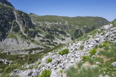 Amazing Summer landscape of Rila Mountain near Malyovitsa peak, Bulgaria