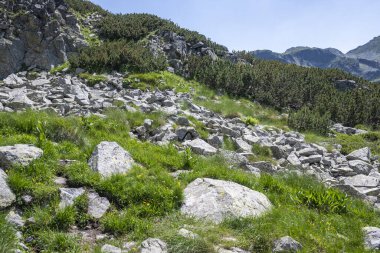 Amazing Summer landscape of Rila Mountain near Malyovitsa peak, Bulgaria