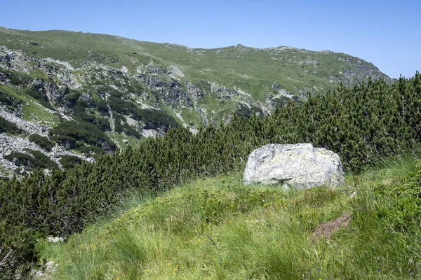 Amazing Summer Landscape Rila Mountain Malyovitsa Peak Bulgaria — Stok Foto