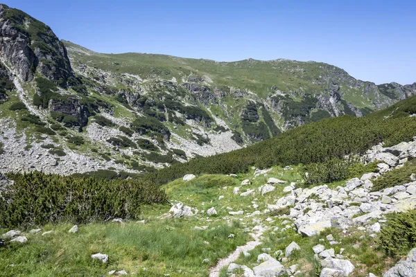 Дивовижний Літній Краєвид Рильської Гори Поблизу Вершини Маливіца Болгарія — стокове фото