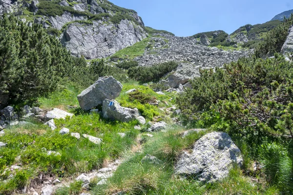 Amazing Summer Landscape Rila Mountain Malyovitsa Peak Bulgaria — Stock Photo, Image