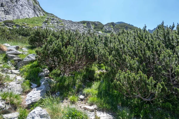 Amazing Summer Landscape Rila Mountain Malyovitsa Peak Bulgaria — ストック写真