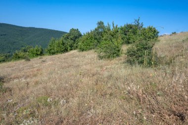 Rudina Dağı, Pernik Bölgesi, Bulgaristan 'ın İnanılmaz Yaz Manzarası