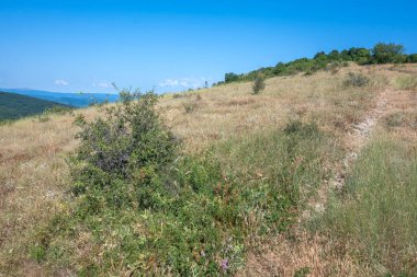 Rudina Dağı, Pernik Bölgesi, Bulgaristan 'ın İnanılmaz Yaz Manzarası