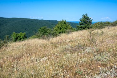 Rudina Dağı, Pernik Bölgesi, Bulgaristan 'ın İnanılmaz Yaz Manzarası